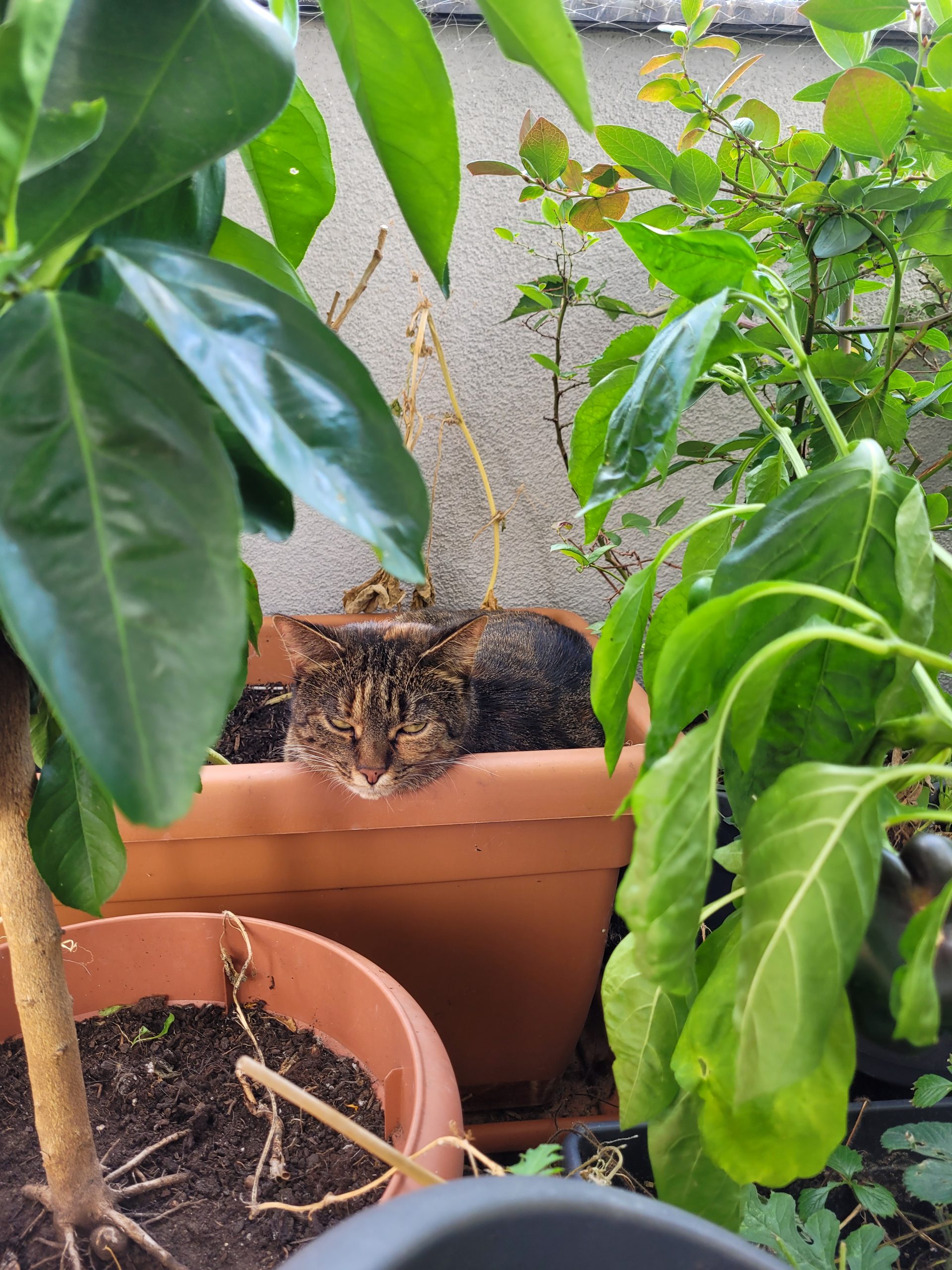 Planung ist das A und Mia-O