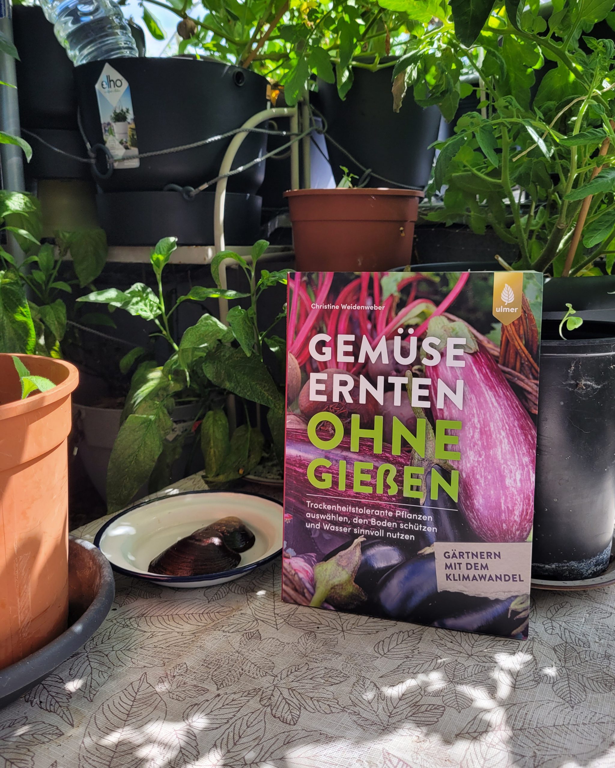 Rezension: „Gemüse ernten ohne Gießen. Trockenheitstolerante Pflanzen auswählen, den Boden schützen und Wasser sinnvoll nutzen. Gärtnern mit dem Klimawandel“