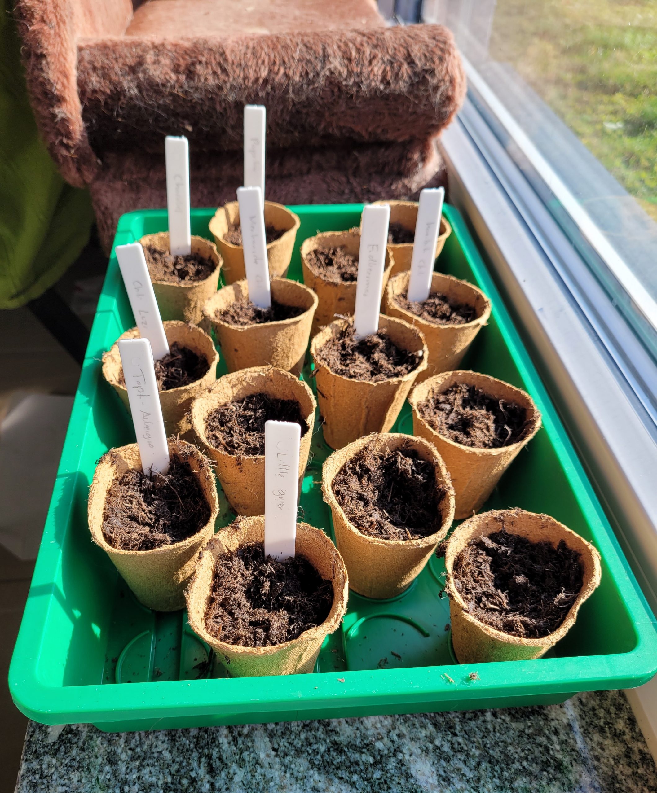 Anzucht: Endlich geht es los