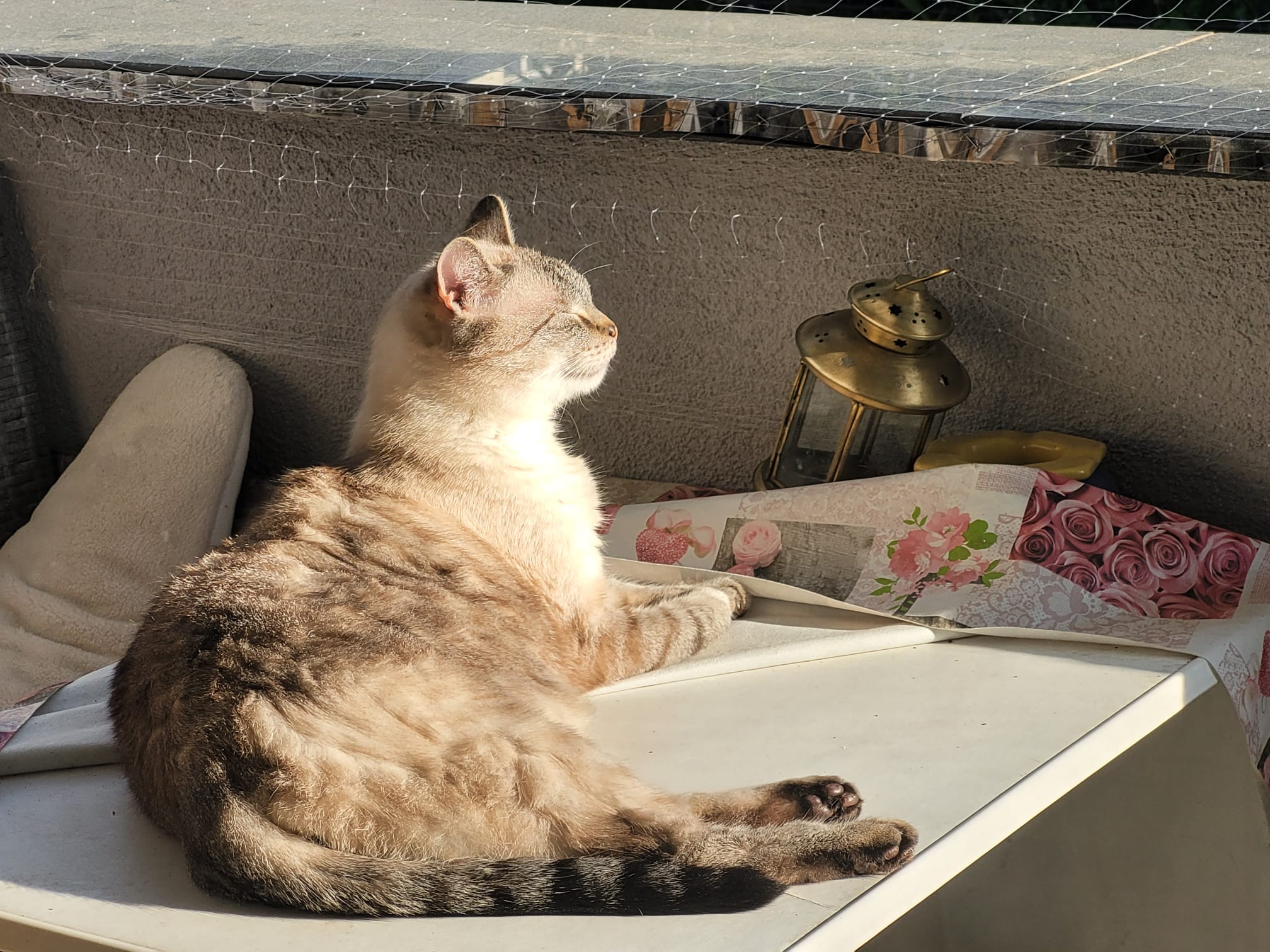 Den Dschungelbalkon frühlingsfit machen