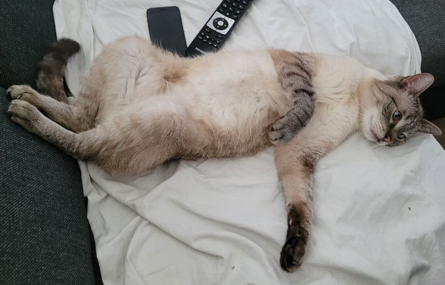 Ryuk chillt auf dem Sofa